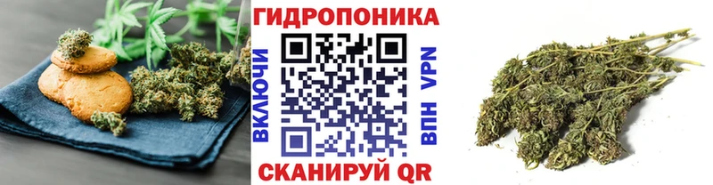 где купить наркоту  Ясный  Печенье с ТГК марихуана 