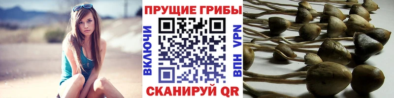 Галлюциногенные грибы мицелий  Ясный 