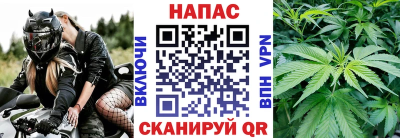 купить   Ясный  Шишки марихуана White Widow 